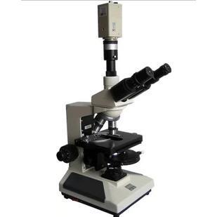 PHC三目电脑型相衬生物显微镜 1600倍 上海彼爱姆
