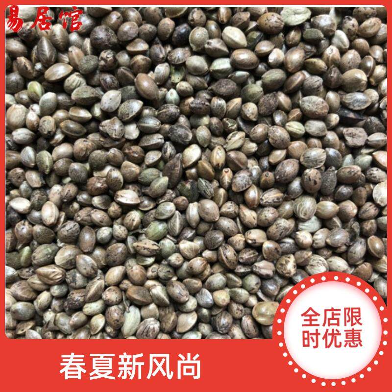 中颗粒火麻子/麻籽/火麻仁鹦鹉鸟粮饲料仓鼠松鼠粮鸽粮饲料5斤装