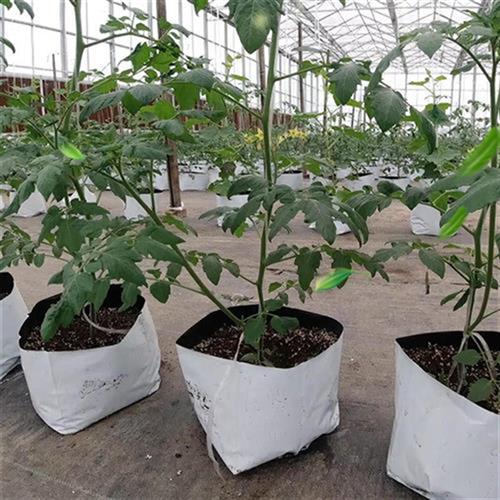 好货阳台无土栽培种植袋