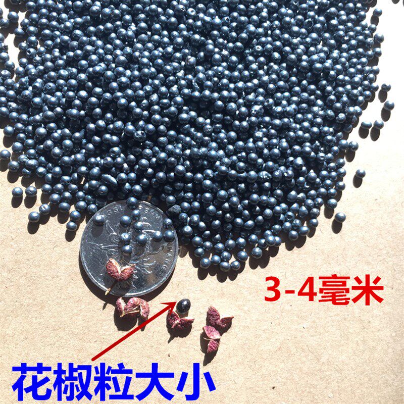 极速传统土制铁砂牚专用铁沙绑腿沙袋负重鹰爪功咏春拳钢珠沙绑腿
