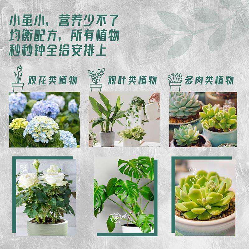 极速棵植物缓释肥营养棒通用型瑰月季多肉花肥玫用盆家栽棒状肥料