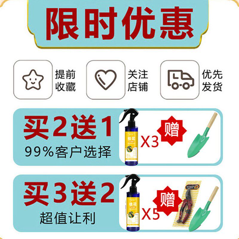 极速桂花树专用肥料家用花肥盆栽枯叶黄叶病专用营养液养花种花专
