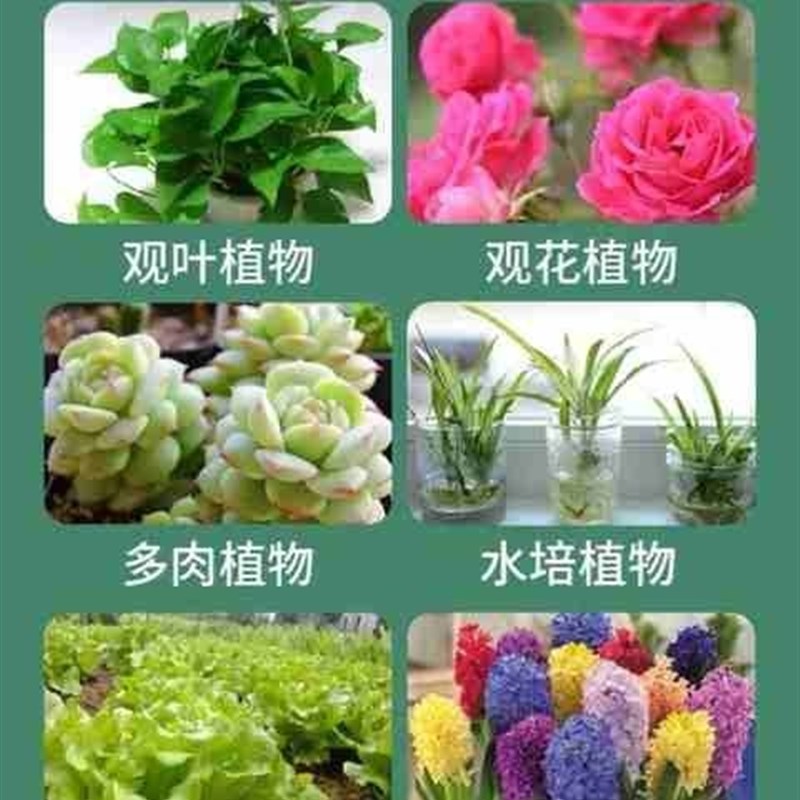 极速浓缩营养液腾味植物多肉通用型液体肥料流坠家庭园艺土水培