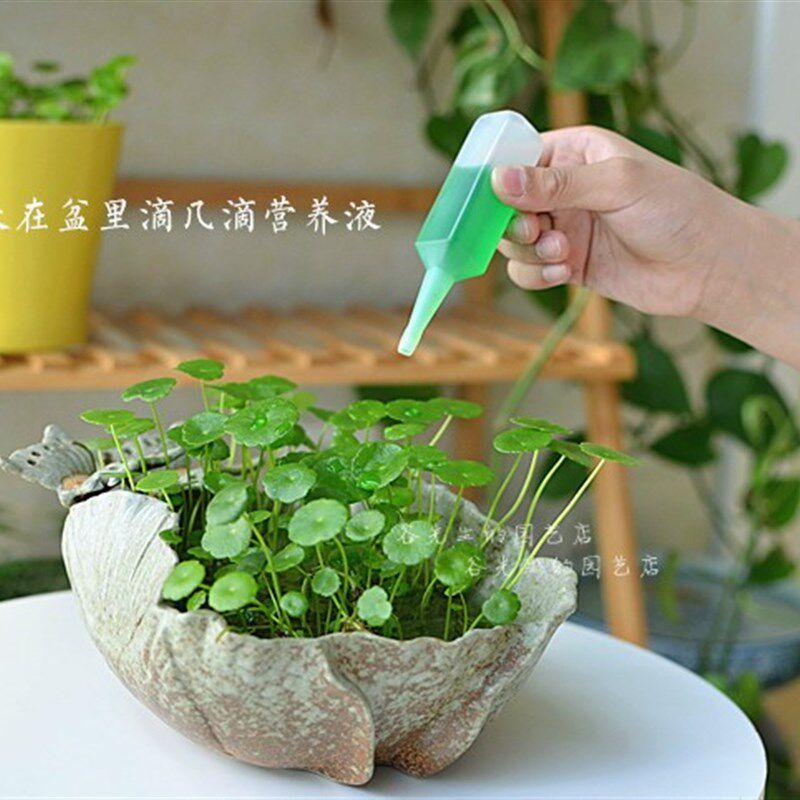 极速绿植物营养液 通用型盆栽花卉肥料 吊篮富贵竹发财树液体肥花