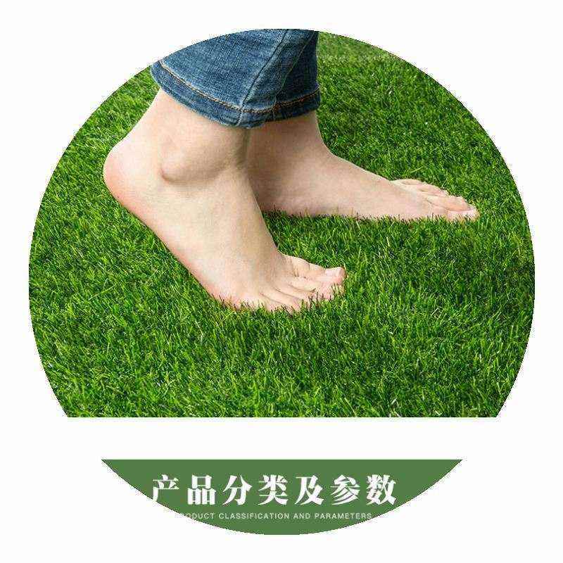 极速幼儿园仿真草坪私教草皮地毯室内楼顶植物墙装饰绿植布置人工