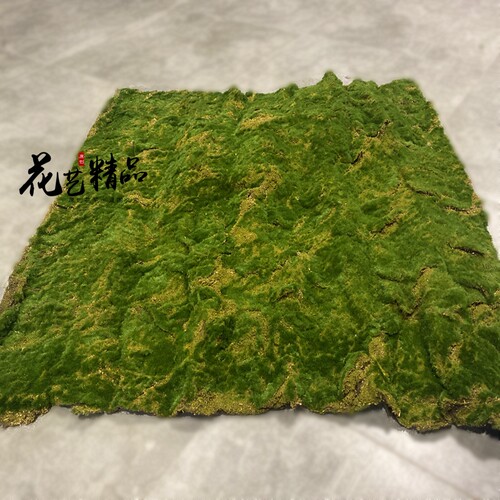 极速青苔仿真永生苔藓绿植装饰品植物墙草皮草坪假山造景绿植毛石