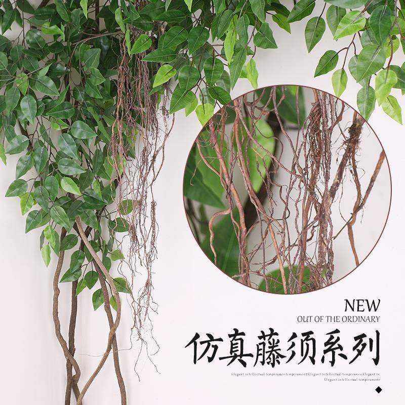 极速时尚的树藤红山滕干藤藤蔓装饰榕树须藤条装饰仿真榕树