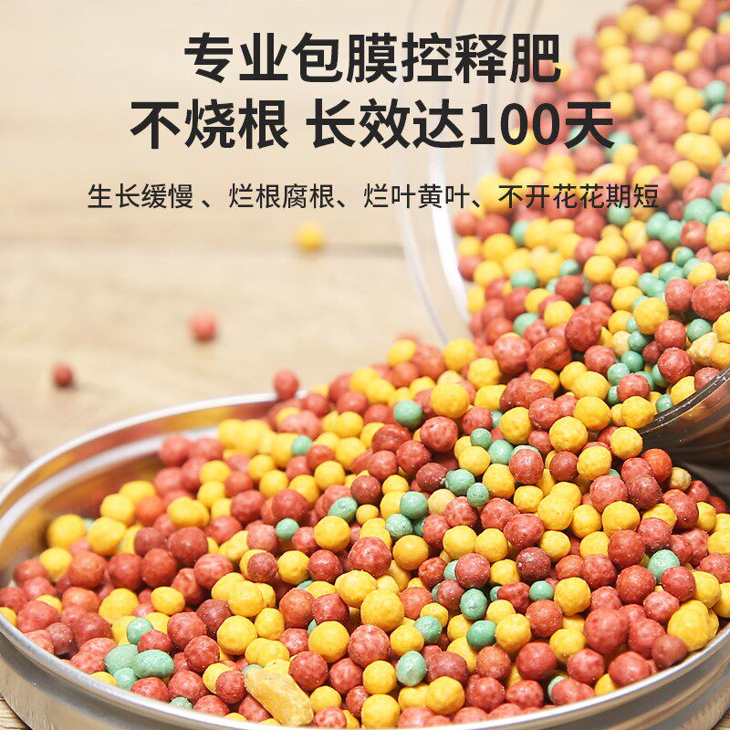 极速兰花专用肥君子兰蝴蝶兰蟹爪兰三角梅肥料花卉用缓释肥颗粒通