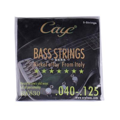 极速Caye Electric Guitar Bass Guitar 4 5 6 Strings Series Gu