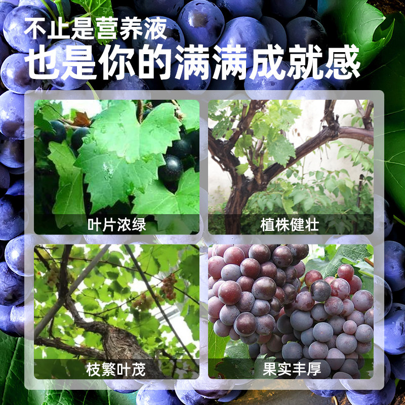 极速葡萄肥料专用肥营养液家用果树盆栽蔬果挂果增甜水溶肥植物通
