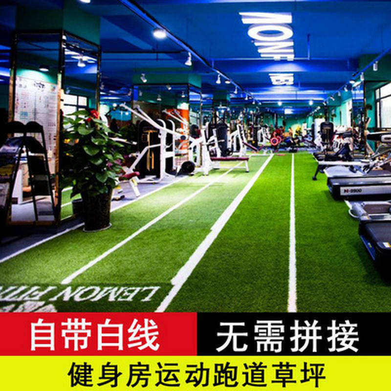 极速小区人造专用藤条地贴假草健身房草坪私教草坪围挡绿色杂草工