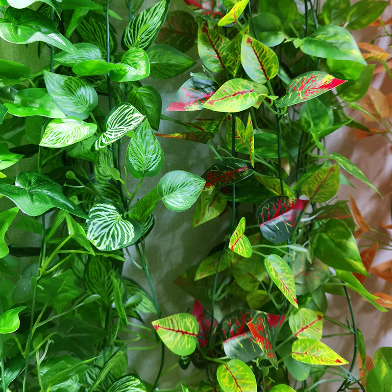 极速仿真绿植树叶藤蔓常青藤塑料假花花藤葡萄叶藤条植物吊顶缠绕