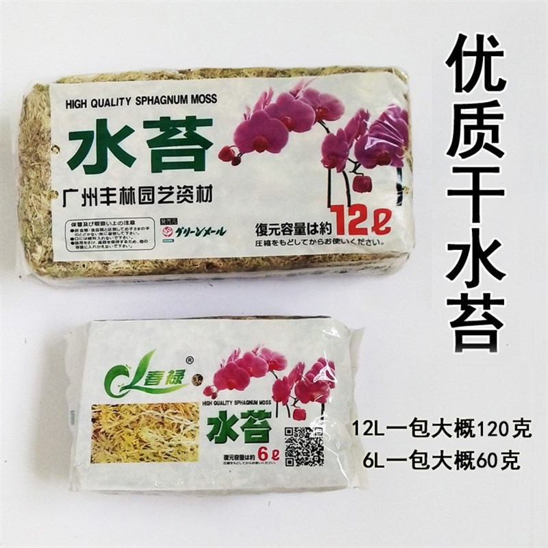 极速干水苔藓石斛蝴蝶兰花食虫捕蝇猪笼草多肉环盆栽水陆缸种植营