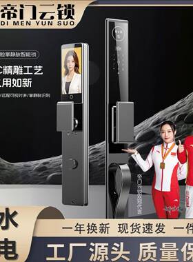 CNC精雕人脸识别墅大门指纹锁双摄双电双面防水户外智能锁双开门