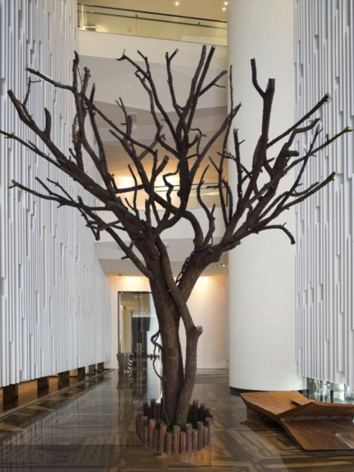 树干假树造型树实木干树枝杈装饰橱窗去皮原木色大型枯树枝干
