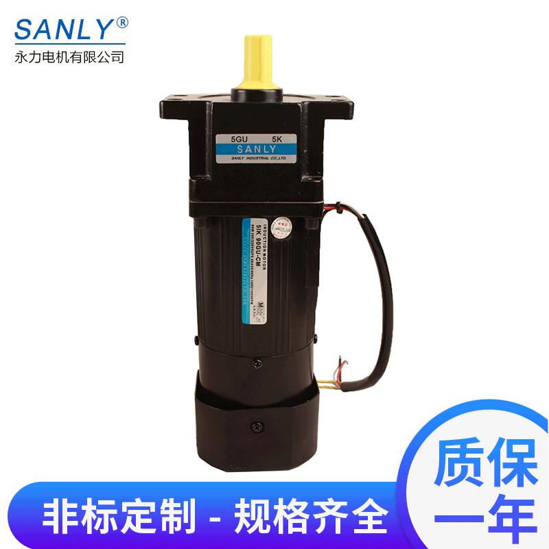 SANLY永力5IK60RGN-CM电磁刹车减速马达60W交流微型调速减速电机