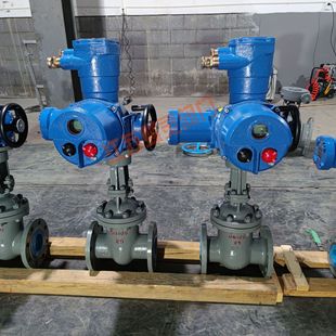 DN150矿用隔爆型电动闸阀 带MA标志电动法兰闸阀 40C MZ941H