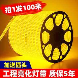 ?金黄光灯带LED灯条室外超亮氛围灯别墅外墙夜景100米装饰跑马灯