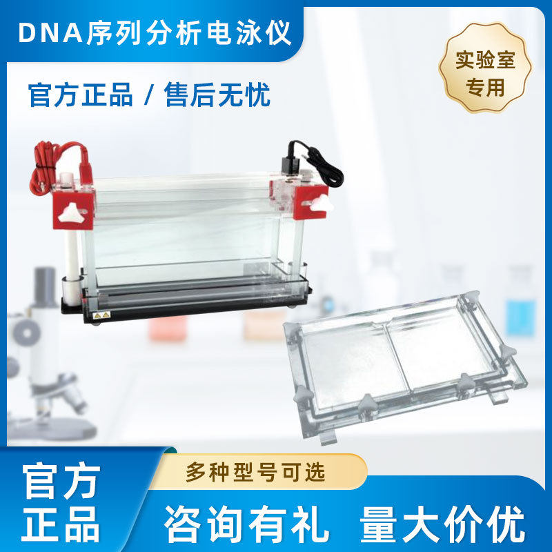 实验室DNA序列分析电泳仪咨询有礼量大价优