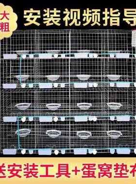 安徽白鸽笼12位16位养殖镀锌配对笼型号齐全品质好的种鸽笼具