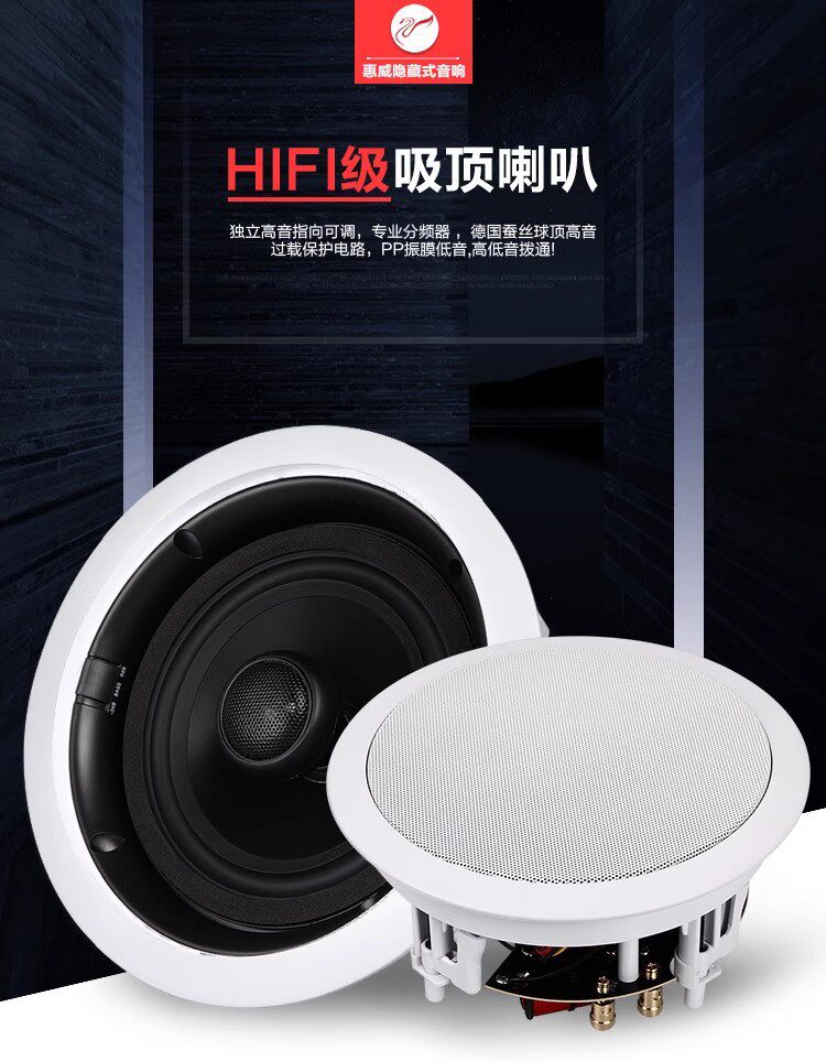 Hivi/惠威 VX6-C吸顶喇叭背景音乐同轴音箱会议天花吊顶音响套装5