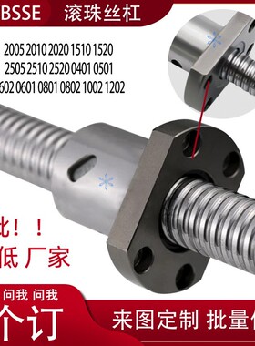 滚珠丝杠丝杆C-BSS/BSX/BSSE2005 1516 2505 2510 2520 0601 0801