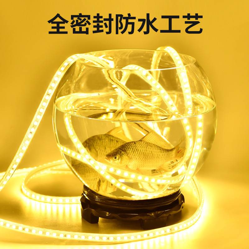 24v36v低压led灯带超亮化工程线条灯条户外防水池水下鱼池养殖场