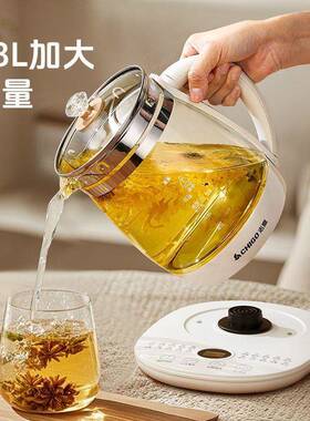 茶养生壶动功家用多能保温全自加厚玻璃办公室煮花壶URR电烧水壶