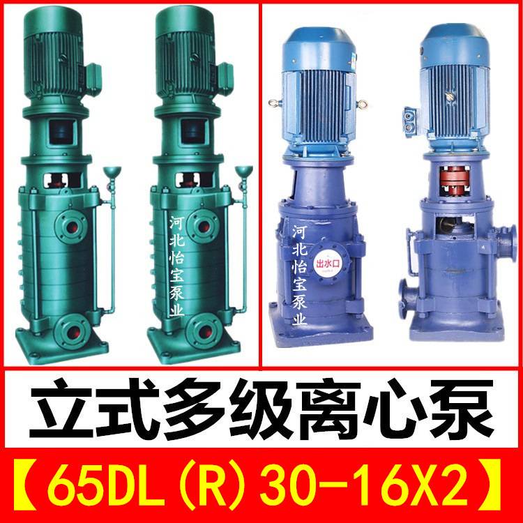 65DL30-16X2立式多级泵DLR型热水增压管道离心泵 高层建筑给水泵