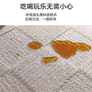 亮丝长方形机织地毯地垫家用客厅卧室简约地毯防水防污地毯