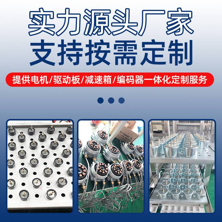 42mm直流高速无刷电机高转矩 大功率打窝机 打窝船 隔膜泵电动工