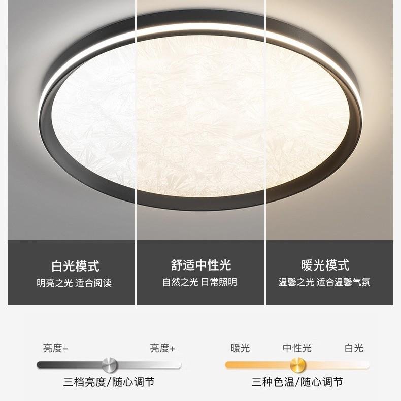 L202SC0495新款花纹理磨灯砂喷漆意式极简E烟D智能护眼卧室灯中山