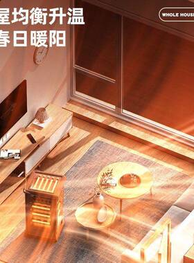 太家用五烤面烧型取暖器电暖气烤火炉小阳电炉DTG暖器室内电热子