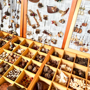 手工diy植物果实干花饰品材料包森系复古气质耳环项链胸针盲盒