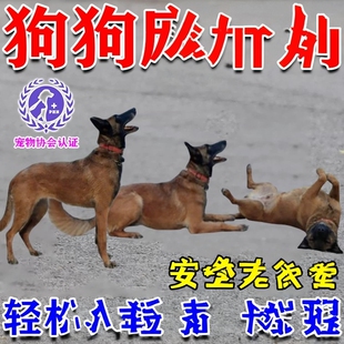 狗狗麻醉镇定剂快速睡眠强力安抚情绪剂剪指甲洗澡救助宠物镇静剂