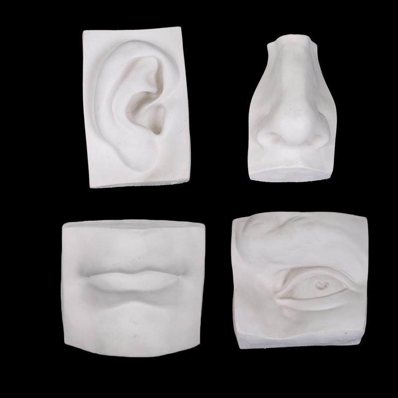 适配一套五官石膏像实面大卫五官眼耳鼻嘴石膏教具美术石膏
