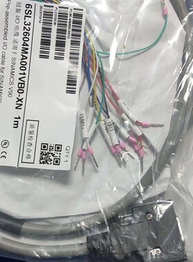 6SL32604MA001VB0一N   1M 连