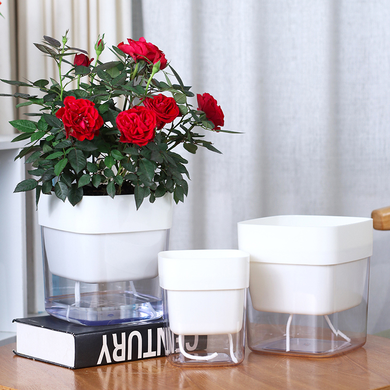 简约正方形懒人花盆自动吸水盆家庭绿萝多肉免浇水塑料透明花盆