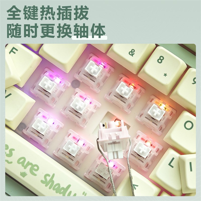 雷咖泽R98Pro植物园客制化u机械键盘GASKET结构三模热插拔绿色键