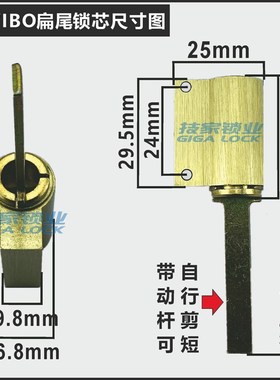 适用ORVIBO欧瑞博锁芯智能锁指纹锁电子门扁杆带尾巴应急伸缩锁头