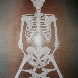 极速戒色贴纸戒色不干胶戒色方法白骨观不净观图白骨禅观想图挂画