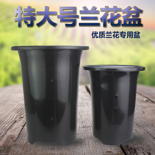 好货兰花花盆 塑料兰花盆 PP树脂塑料 花盆兰盆特大 超大黑色5个