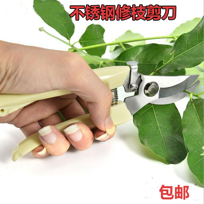 不锈钢强力园林园艺修枝剪小型家用省力修花修建树枝花卉剪刀包邮