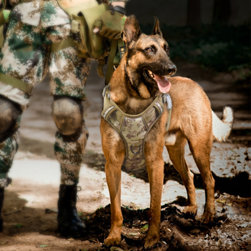 狗狗牵引绳背心式大型犬夏季外出遛狗胸背带训犬户外德牧战术马甲
