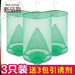 fly inssect Summer folding Orc fling hanging 2021 capture