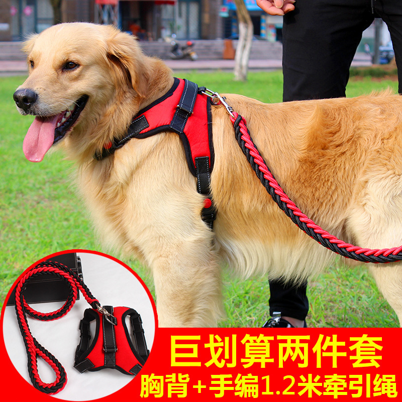 加粗三件套狗狗牵引绳小中大型犬金毛秋田狗链子胸背带项圈狗绳子