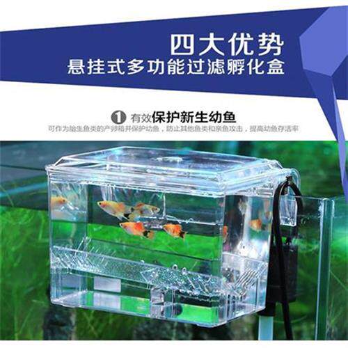 极速建荣BB10带水泵外挂藻缸孔雀鱼繁殖盒压克力隔离盒孵化器海水