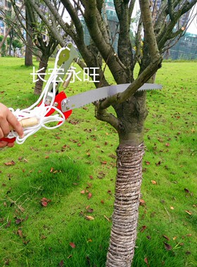 包邮高枝剪 高枝锯 树枝剪u 高枝锯高空剪 采果剪摘果剪园林工具