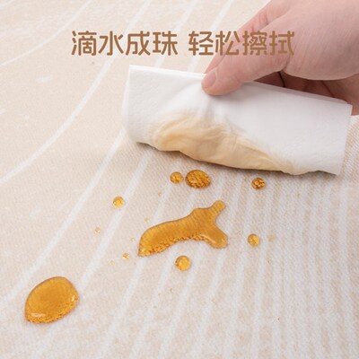卧室地毯厚款加厚家用防水耐脏免洗E可擦毯子主卧床边毯轻奢高级