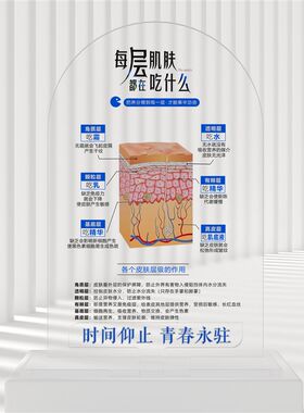 皮肤层级吃什么水乳霜皮肤管理美妆店摆件门O店摆件护肤知识摆件